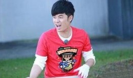 陈赫最新爆料,娱乐圈背后的惊人真相